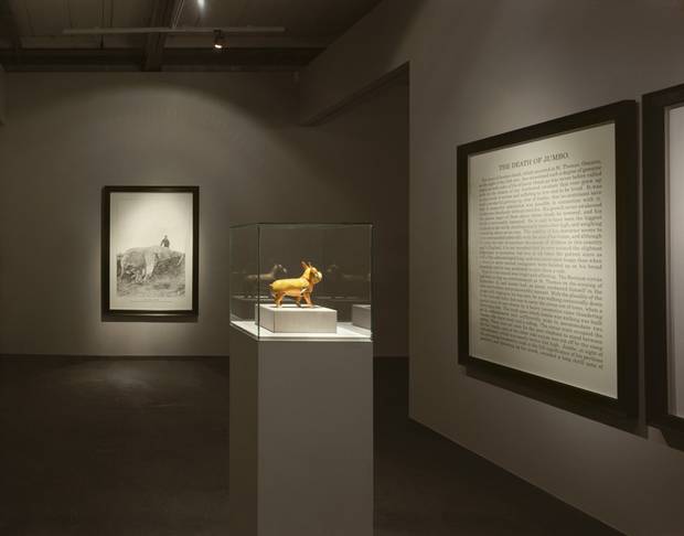 Ydessa Hendeles’s “The Dead Jumbo.” is an allegorical reference to the largest systematic, state-sponsored extermination program in the history of the world.