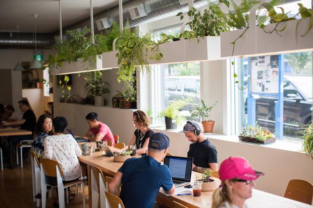 While the name Bows & Arrows is well-known around Victoria for its coffee, the café’s Vancouver location seamlessly expands beyond breakfast and brunch into happy hour and full-service dinner.