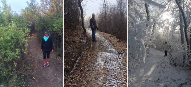 The Elbow Trail through the seasons.