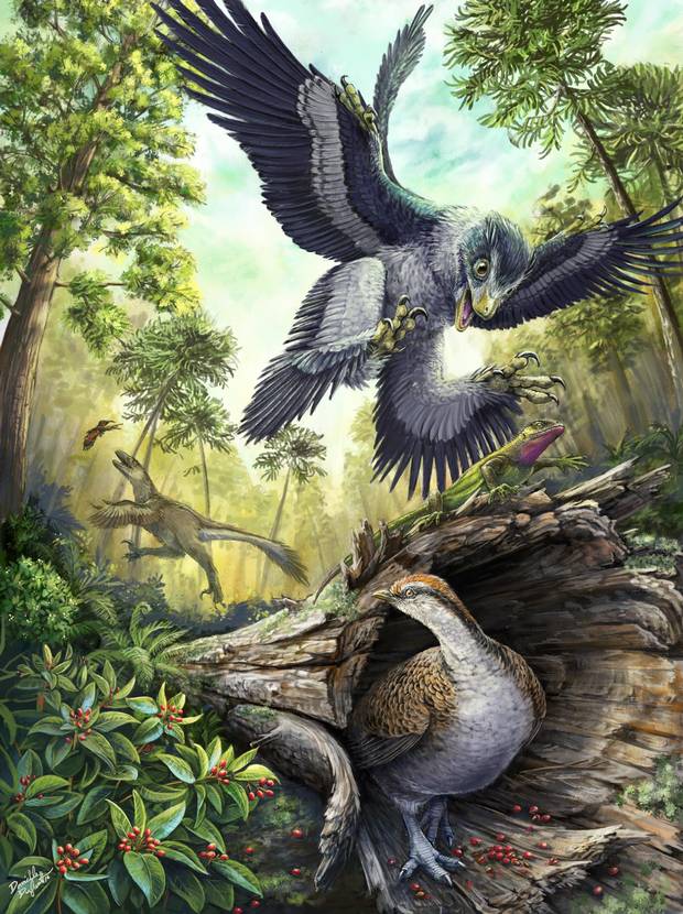 A small feathered dinosaur swoops down on an unsuspecting lizard while a bird hunts for seeds in this reconstructed slice of life in Alberta 66 million years ago. A new theory suggests that a seed diet helped birds survive the mass extinction event that wiped out all other dinosaurs.
