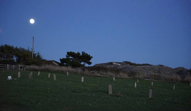 The photo series aims to represent the struggles of identity that early Chinese immigrants dealt with, including a former Chinese leper colony and a Chinatown that was built near a prominent mining community, now completely overgrown by forest.