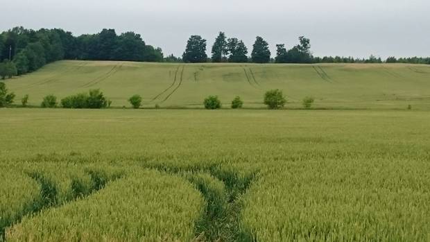 A farmer’s field near Bellwood, on the way from Fergus, Ont., to Erin.