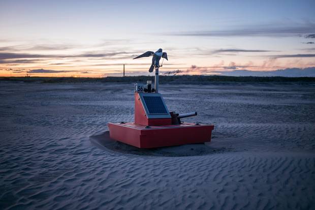 A robotic bird of prey fitted with a propane cannon, designed to scare away waterfowl, sits in a decommissioned Syncrude tailings pond site near Fort McKay, Alta., August 12, 2015.