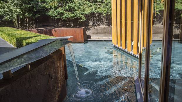The reflecting pool and fountain.