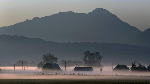 A farm is surrounded by morning mist at dawn outside of Chilliwack, B.C.