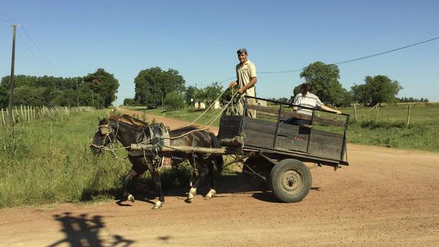Everyone in the area farms by horse and buggy - you can even rent them in town.