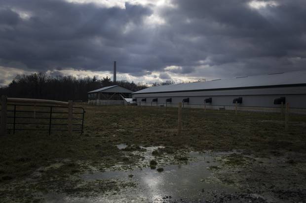 The Pelisseros' farm property.