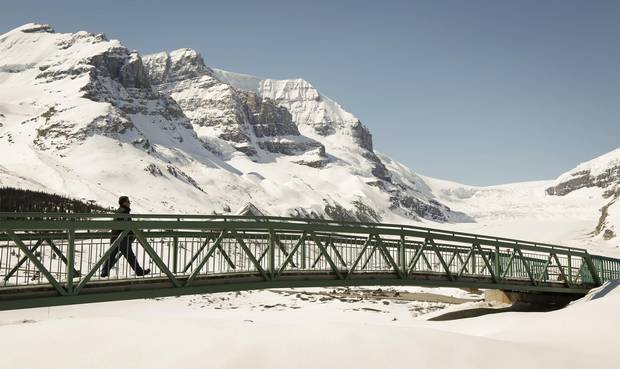 Athabasca Glacier in the Columbia Icefields in Jasper National Park.