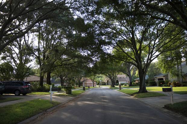 Terry Castro’s neighborhood in Tampa.