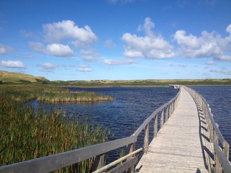 Floating boardwalk at Prince Edward Island National Park.