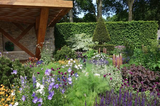 Colourful lupins were a predominant bloom, along with alliums, plume thistle, foxgloves and more.