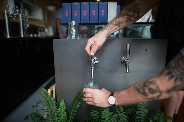 Self-serve water taps are mounted over a bushy boxed fern to catch drips.