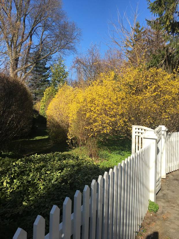 Sis Bunting Weld’s garden in Niagara-on-the-Lake is a modern take on the garden as a quiet escape.