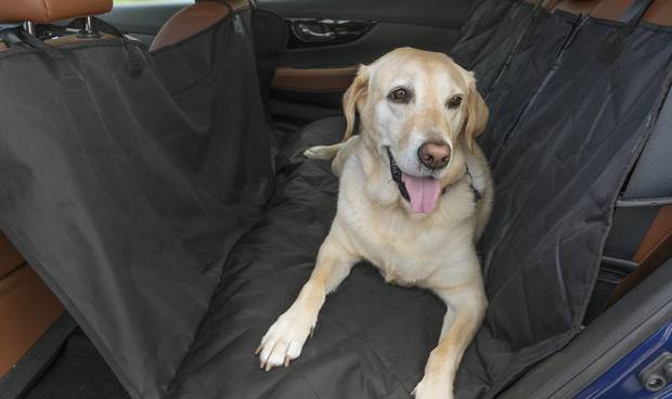 Long trip? A padded hammock in the second row clips to the front and rear headrests.