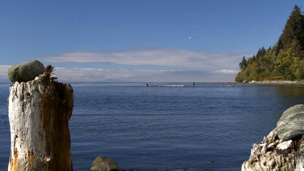 Paddle boarders at mouth of Jordan River.