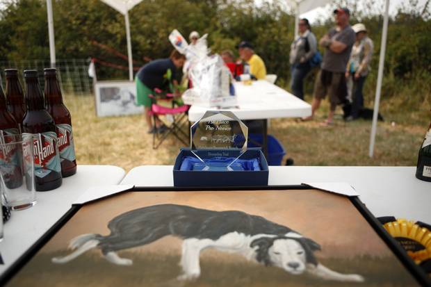 A 1st place pro novice trophy and painting.