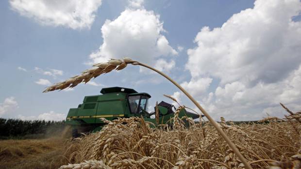 For U.S. farmers, NAFTA secures access to stable, lucrative markets in Mexico and Canada that now account for over a quarter of U.S. farm exports. Now they fear this access could become a bargaining chip in efforts to get a better deal for U.S. manufacturers.