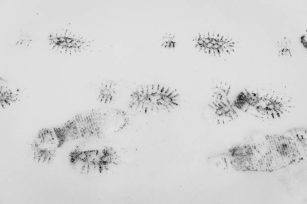 Footprints of migrating asylum seekers lead north into Canada.