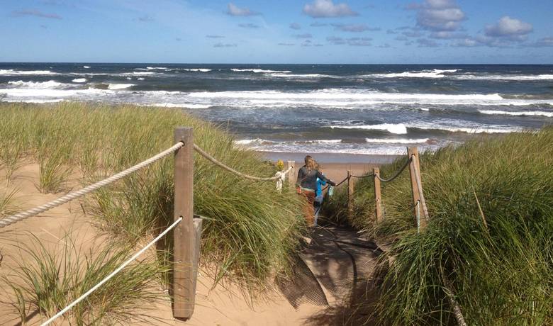 Greenwich Beach at Prince Edward Island National Park features red sand, green marram grass and blue water.