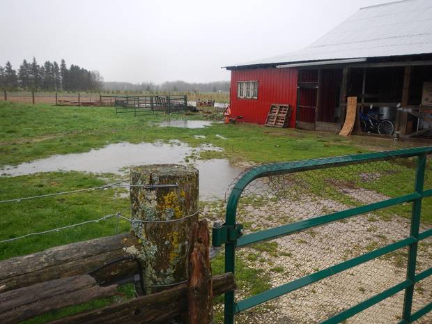Thanks to a particularly wet April, the barnyard at the Prestons’ farm is a sea of mud.