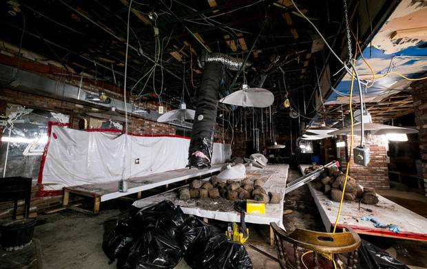 Mr. Sergi’s Hamilton grow op, housed in a decrepit former bar, was closed because of zoning issues rather than anything related to cannabis growing.