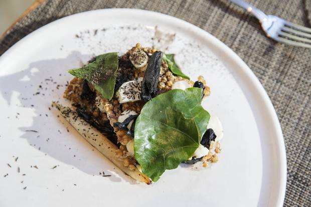 A dish made with wild, hand-lined North Atlantic Cod dish made from Fogo Island Fish, is posed at the The Chase Fish and Oyster restaurant in Toronto, Friday November 24, 2017.