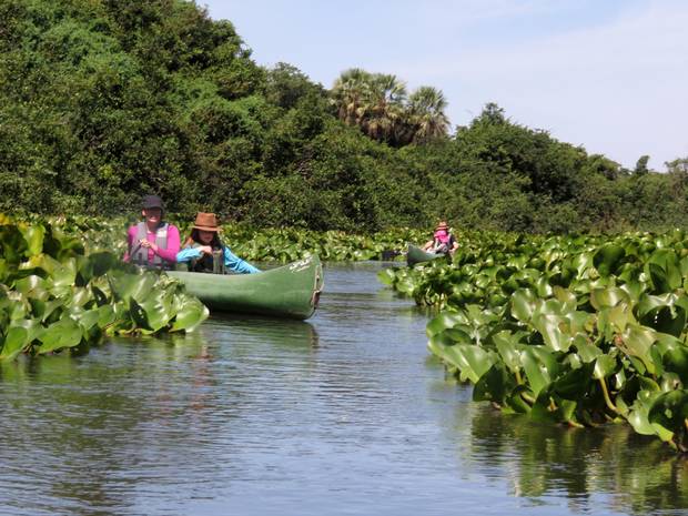 Canoeing in the Pantanal.