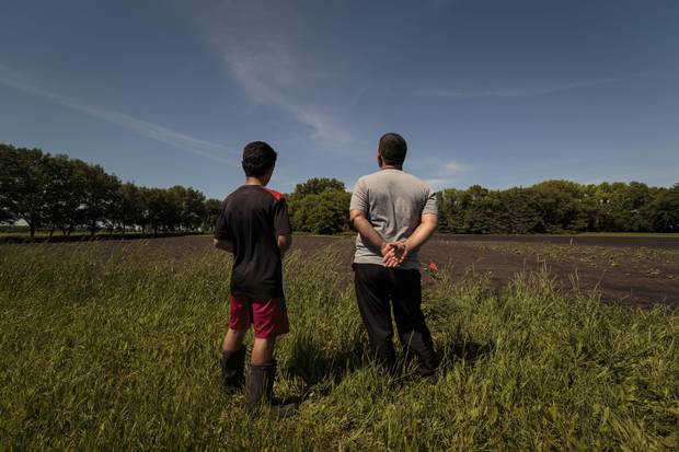 A successful farmer back in Syria, Ahmad Daas (with son Ali) looks over a patch of land loaned to him in Altona, Man., which he uses to raise beans, zucchini, cucumbers and tomatoes grown from seeds brought from his homeland. 