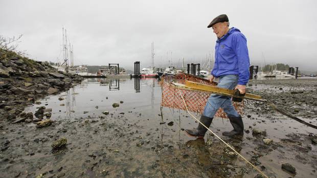 Ross O'Connell carries plastic fencing and scrap wood that he cleaned up during the Surfrider Pacific Rim Christmas Jingle Cleanup Event along the Tofino harbour shorefront near the 4th Street government dock and marina on Dec. 2, 2016.