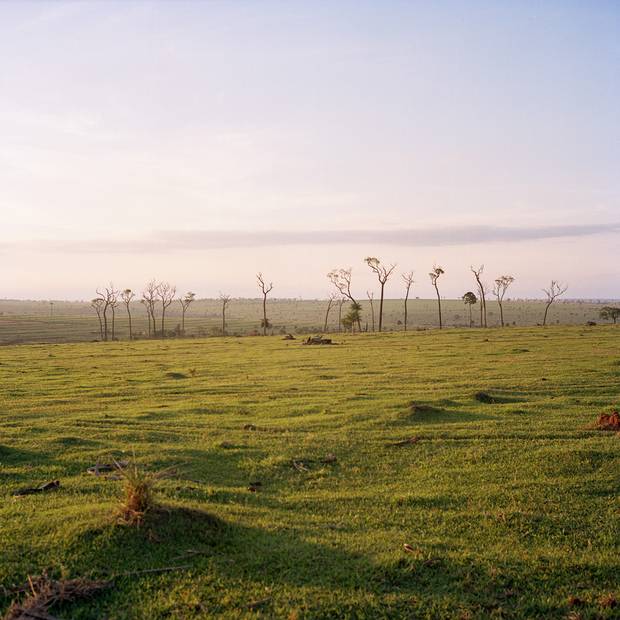 Cattle ranching and industrial soy farming have taken over most of the land that was once traditional Guarani-Kaiowa territory.