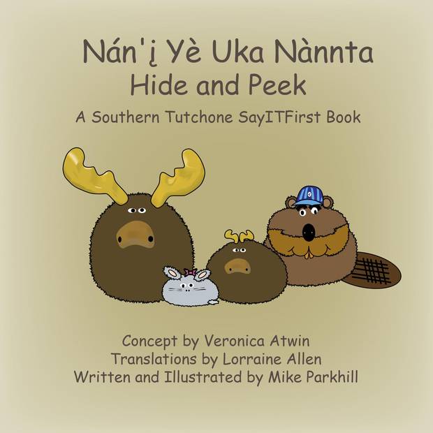 Book cover for 