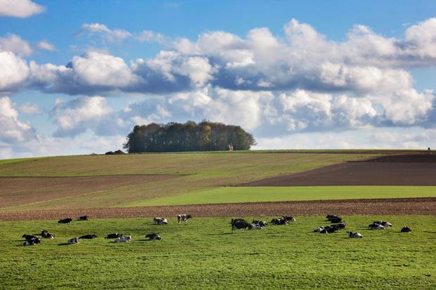 CETA negotiations have come to a grinding halt after Wallonia refused to sign the deal, citing concern for its dairy farmers, among other worries.