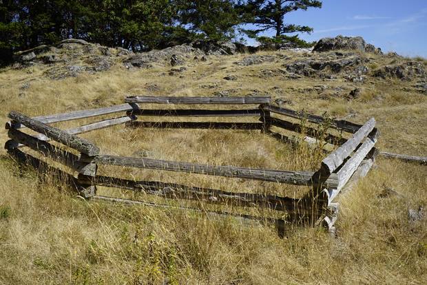 On D’Arcy Island, the leper colony that was established in 1891 after five men with leprosy were discovered in Victoria’s Chinatown, people were sent, over 30 years, to live and, eventually, die.