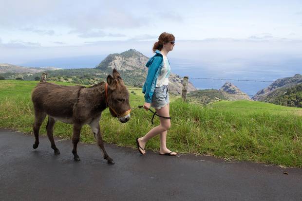 Visitors can wander around the island with rescue donkeys.