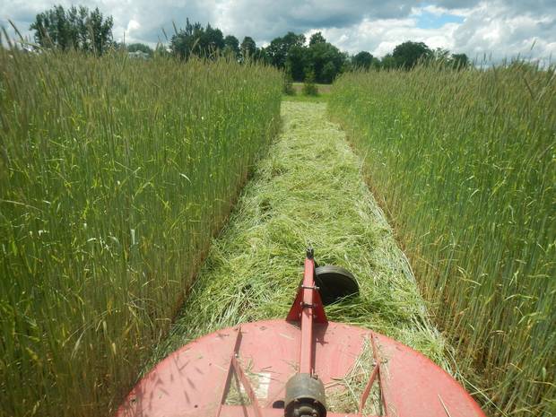 Plowing the fields at Brent Preston’s farm located north of Shelburne, Ont.