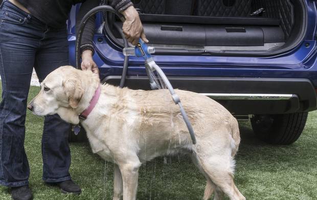 The shower is a 360-degree hoop-and-hose mechanism, fed by a 10 gallon pressurized water reserve.