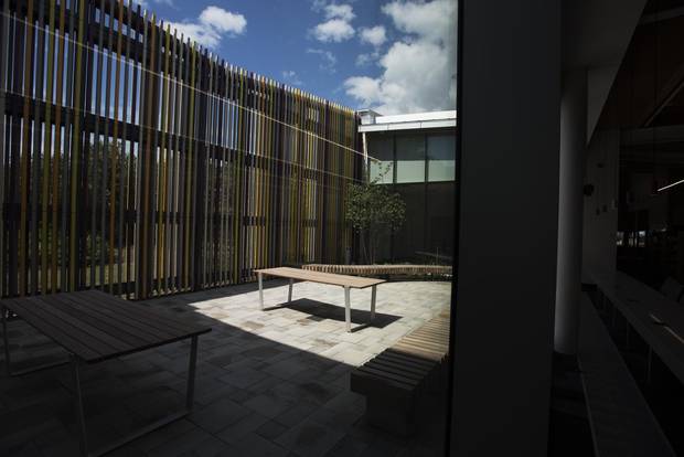 The Albion’s interior isn’t the only part of the library offering lots of light and space. Its courtyard does, too.