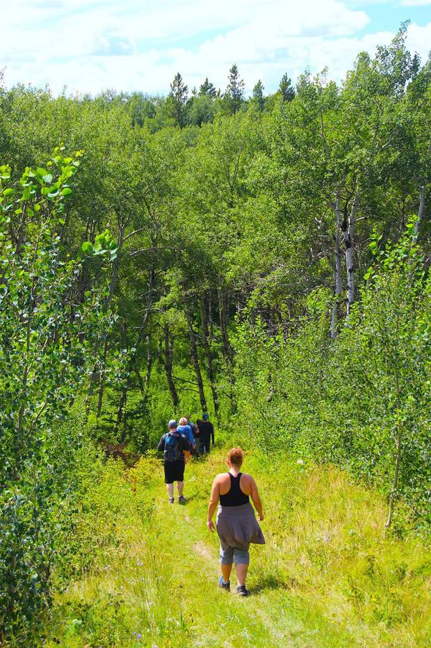 A walk along the Spruce Coulee Trail in Cypress Hills Interprovincial Park in July, 2016.