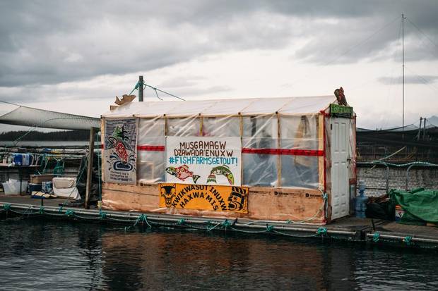 The debate about fish farms in B.C. and whether they pose a threat to wild salmon has been brewing for decades.