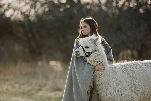 Over the past decade, Pickering and Seabrook's farm property has become the base and inspiration for SHED, their line of yarn, housewares and accessories.