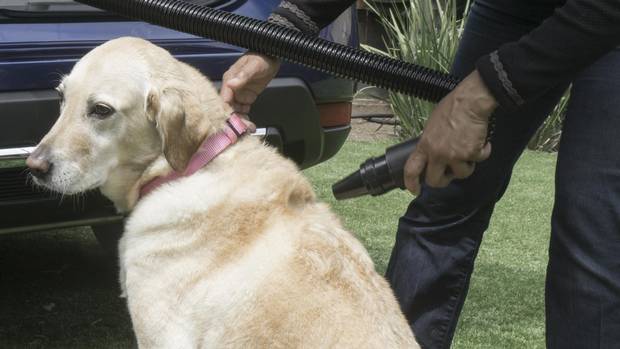 For instant grooming following a romp in the mud, there’s an integrated shower-and-drying system with a 10-gallon water supply. 