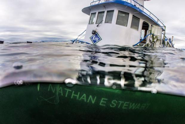 The tug boat Nathan E. Stewart is seen in the waters of the Seaforth Channel near Bella Bella, B.C., on Oct. 23, 2016.