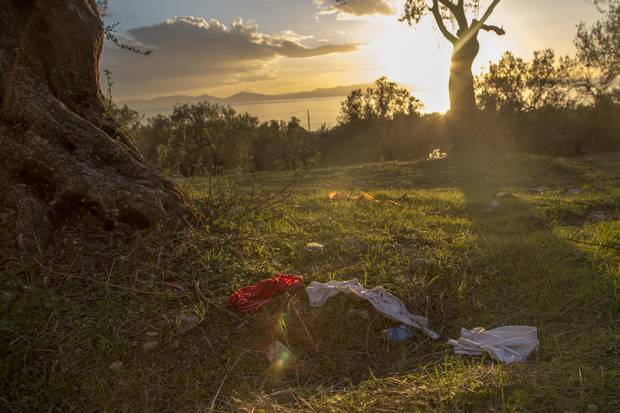 Lesbos is visible in the background from an olive grove across from the beach near Ayvalik, Turkey. Refugees presumably sheltered here before making the dangerous crossing in small boats to Lesbos.
