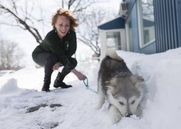 Volunteer Bianca Barelli walks Beemo.