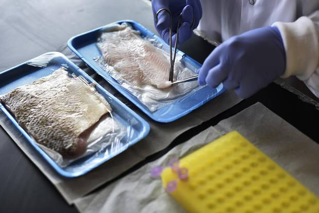 The Centre for Biodiversity Genomics operates a lab where they've created a system of 