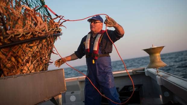Crab harvester Andre Bourgeois untangles a rope while unloading a trap on July 14, 2017, in Cheticamp, N.S.