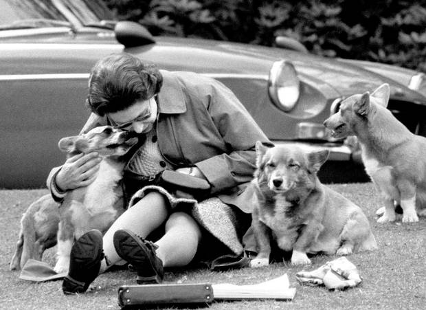 The Queen is shown sitting with her corgis in May, 1973.