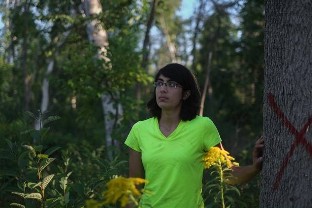 Grace Taurozzi stands beside the Norway maple tree in Galloway Park that injured her. She suffered wounds to her head and fractured vertabrae.