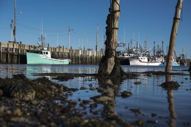 Fishing boats tied up at the wharf in Meteghan, N.S. on Friday, October 13, 2017.