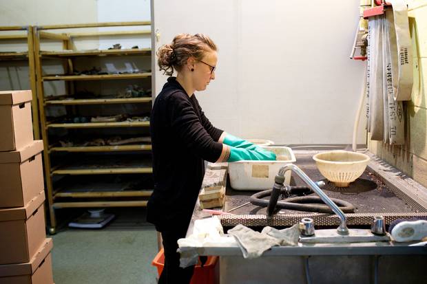 A bioarcheologist cleans items from various findings.